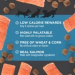 Cloud Star Chewy Tricky Trainers, Salmon Flavor, 14-Ounce Pouch - Image 4