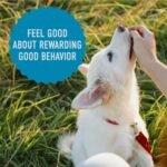 Cloud Star Chewy Tricky Trainers, Salmon Flavor, 14-Ounce Pouch - Image 7