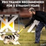 Dog Bite Tug Toy - 30x8 cm - Durable Pull Toy with 2 Soft & Strong Handles - Tough Jute Bite Pillow for Medium to Large Dogs - Ideal for Tug of War, Fetch, K9, Puppy Training & Play - by Yes4Quality - Image 6