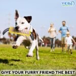 Dog Bite Tug Toy - 30x8 cm - Durable Pull Toy with 2 Soft & Strong Handles - Tough Jute Bite Pillow for Medium to Large Dogs - Ideal for Tug of War, Fetch, K9, Puppy Training & Play - by Yes4Quality - Image 9