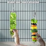 2pcs Rat Enrichment Toys, Zinc Alloy Rat Foraging Toy Chew-Proof Hanging Rodent Slow Feeder Food Basket Tool for Fruit & Vegetable Holder, Bunny, Birds, Mice Cage Accessories Puzzle Chew Toy - Image 6