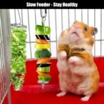 2pcs Rat Enrichment Toys, Zinc Alloy Rat Foraging Toy Chew-Proof Hanging Rodent Slow Feeder Food Basket Tool for Fruit & Vegetable Holder, Bunny, Birds, Mice Cage Accessories Puzzle Chew Toy - Image 8