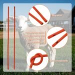 10 Pieces Lamb Feeding Tubes, Red Flexible Rubber Replacement Tubing Supplies for Lamb,Sheep,Piglet,Rabbit,Puppy Feeding (16 Inch x 16FR) (10 Pack, 14 FR) - Image 5