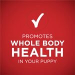 Purina ONE +Plus Classic Ground Wet Puppy Food, Lamb & Long Grain Rice Entree - 368 g Can (12 Pack) - Image 7