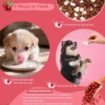 Low Fat Grain Free Cranberry Dog Treats, Yogurt Bites with Real Cranberry Pieces for Dogs & Cats, Crunchy Training Reward, 3.5oz (100g) - Image 4