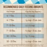 Merrick Purrfect Bistro Grain Free Real Chicken Adult Dry Cat Food, 12 lbs. - Image 9