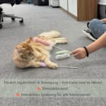 5 Pack Real Rabbit Fur Cat Teaser Toys – Interactive Cat Wand Set with Soft Fluffy Ends – Lightweight & Fun for Indoor Cats - Image 7