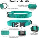 Personalized Dog Collar, Custom ID Collar Reflective Nylon Collar with Pet Name and Phone Number 4 Adjustable Sizes X-Small Small Medium Large Quick Release Buckle and D-Ring (Solid) - Image 4