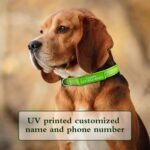Personalized Dog Collar, Custom ID Collar Reflective Nylon Collar with Pet Name and Phone Number 4 Adjustable Sizes X-Small Small Medium Large Quick Release Buckle and D-Ring (Solid) - Image 6