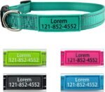 Personalized Dog Collar, Custom ID Collar Reflective Nylon Collar with Pet Name and Phone Number 4 Adjustable Sizes X-Small Small Medium Large Quick Release Buckle and D-Ring (Solid) - Image 7