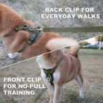 Plutus Pet Adjustable No Pull Dog Harness with Leather Accents, Heavy Duty Reflective Nylon Vest for Training, Hiking, Easy Walk Harness for Small, Medium, Large Dogs (Ranger Green, M) - Image 4