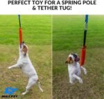 K9 Dog Bite Tug Toy - Made of Durable & Tear-Resistant French Linen - Perfect for Tug of War, Fetch & Puppy Training - Ideal for Medium to Large Dogs - Tough Pull Toy with Strong Handle & Stitching - Image 8