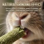 Rabbit Toys,Timothy Hay Stick for Guinea Pig Toy Bunny Chew Toys for Teeth Grinding Hamster Alfalfa Bite Treat Rabbit Molar Food Snack for Pet Rat Chinchilla Squirrel Gerbil-58PCS - Image 3