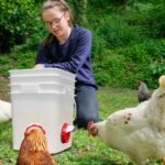 DIY Chicken Feeders - Automatic Poultry Feeder with 6 Ports, 1 Hole, Gravity Chick Feeder, Rodent & Rain Proof for Buckets, Barrels, Bins & Troughs (6 pcs) - Image 7