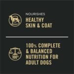 Purina Pro Plan Complete Essentials Wet Dog Food, Classic Beef & Rice Entree - 368 g Can (12 Pack) - Image 5