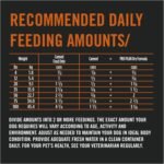 Purina Pro Plan Complete Essentials Wet Dog Food, Classic Beef & Rice Entree - 368 g Can (12 Pack) - Image 12