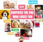 PowerKing Dog Bed Pet Bed Cat Bed Mattress Washable Pads Room Waterproof Bottom for Dogs Pets-23.6''x 16''x 5'' (Grey) - Image 8