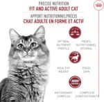 Royal Canin Adult Fit & Active Dry Adult Cat Food, 7 lb Bag - Image 3