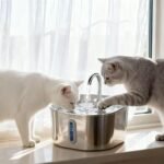 Nevie Fountain - Protect Your Cat from UTIs, Stones, and Kidney Disease with Purrify (Filter Cartridge + Filter Cotton (4+4)) - Image 4