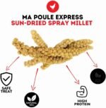 Ma Poule Express Worlds Freshest Sun-Dried Spray Millet GMO and Pesticide Free Original Bird Treat and Supplement for All Pet Birds Parakeets, Cockatiels and Finches 1 Lb - Image 5
