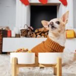 Elevated Ceramic Dog Bowl Set - Raised Dog Bowls with Non-Slip Bamboo Stand - Dog Food and Water Bowl Set - Double Dog Feeding Bowls - Suitable for Small and Medium Dogs - 28.74 OZ - 3.6 CUPS - 850 ML - Image 7