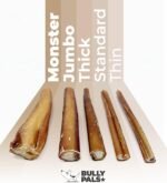 6 inch Thin Bully Sticks for Small Dogs and Puppies - 20 Pack - Long Lasting, All Natural, Single Ingredient, Dehydrated Dog Treats and Dental Chews - Image 3