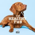 6 inch Thin Bully Sticks for Small Dogs and Puppies - 20 Pack - Long Lasting, All Natural, Single Ingredient, Dehydrated Dog Treats and Dental Chews - Image 5