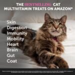 Cat Multivitamin Chews - Cat Treats for Health + Immune, Joint Support, Skin & Coat, and Digestion - Omega 3s, Lysine & Probiotics for Cats, Vitamins for Cats - Chicken (90-Day Supply) - Image 3
