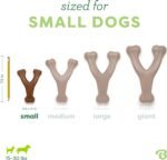 Benebone Wishbone Durable Dog Chew Toy for Aggressive Chewers, Real Peanut, Made in USA, Small - Image 5