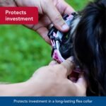 Coastal Pet SecureAway Flea Collar Protectors - Dog Flea Collar Protector - Worn with Flea Collar - Plastic Buckle for Ease - Multi Bones - 1" x 14-20" - Image 5