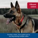 Coastal Pet SecureAway Flea Collar Protectors - Dog Flea Collar Protector - Worn with Flea Collar - Plastic Buckle for Ease - Multi Bones - 1" x 14-20" - Image 7