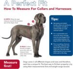 Coastal Pet SecureAway Flea Collar Protectors - Dog Flea Collar Protector - Worn with Flea Collar - Plastic Buckle for Ease - Multi Bones - 1" x 14-20" - Image 8