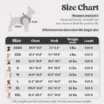 rabbitgoo Dog Harness Small Breed and Leash, Step in Soft Light Puppy Vest, Breathable Mesh No Pull Pet Harness, Reflective for Safe Easy Walking, Black XXS - Image 3