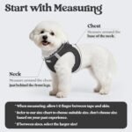 rabbitgoo Dog Harness Small Breed and Leash, Step in Soft Light Puppy Vest, Breathable Mesh No Pull Pet Harness, Reflective for Safe Easy Walking, Black XXS - Image 4