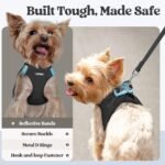 rabbitgoo Dog Harness Small Breed and Leash, Step in Soft Light Puppy Vest, Breathable Mesh No Pull Pet Harness, Reflective for Safe Easy Walking, Black XXS - Image 6