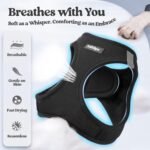 rabbitgoo Dog Harness Small Breed and Leash, Step in Soft Light Puppy Vest, Breathable Mesh No Pull Pet Harness, Reflective for Safe Easy Walking, Black XXS - Image 7