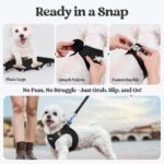 rabbitgoo Dog Harness Small Breed and Leash, Step in Soft Light Puppy Vest, Breathable Mesh No Pull Pet Harness, Reflective for Safe Easy Walking, Black XXS - Image 8