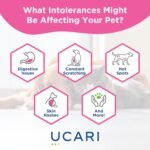 UCARI Pet Sensitivity Test | Screens for 750+ Intolerances | Food & Nutritional Analysis | Painless Home Test Hair Sample Method | Results in 48 Hours | Cats & Dogs - Image 6