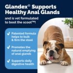Glandex Anal Gland Soft Chew Treats with Pumpkin for Dogs Chews with Digestive Enzymes, Probiotics Fiber Supplement for Dogs – Vet Recommended - Boot The Scoot (Peanut Butter, 60ct Chews) - Image 6