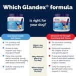 Glandex Anal Gland Soft Chew Treats with Pumpkin for Dogs Chews with Digestive Enzymes, Probiotics Fiber Supplement for Dogs – Vet Recommended - Boot The Scoot (Peanut Butter, 60ct Chews) - Image 8