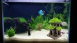 M2cbridge Aquarium Decorations Fish Hideout House Betta Cave with Green Lifelike Moss (Style 3) - Image 7