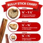 Downtown Pet Supply 6-inch Bully Sticks for Dogs, Pack of 30 - Single Ingredient, Nutrient-Rich and Odor Free Bully Sticks for Dogs - Rawhide Free Dog Chews Long Lasting and Non-Splintering - Image 8