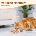 Ceramic Cat Food Bowl, Colorful Cat Bowls Whisker-Friendly, 5.9" Shallow Wide Kitten Plates, Easy to Clean Indoor Feeding Dishes - Image 4