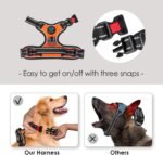 PHOEPET Reflective Dog Harness Large Breed Adjustable No Pull Vest with with Handle 2 Metal Rings 3 Buckles [Easy to Put on & Take Off](M, Orange) - Image 4