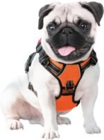 PHOEPET Reflective Dog Harness Large Breed Adjustable No Pull Vest with with Handle 2 Metal Rings 3 Buckles [Easy to Put on & Take Off](M, Orange) - Image 8