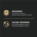 Purina Pro Plan Dry Puppy Food, Development Lamb & Rice - 15.4 kg Bag (1 Pack) - Image 6