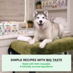 Open Farm, Dog Jerky Treats, Soft & Chewy Oven-Baked Jerky Strips Made with Ethically & Sustainably Sourced Ingredients, Protein Packed Dog Treats, Grain-Free Chicken Recipe, 5.6oz Pouch - Image 5