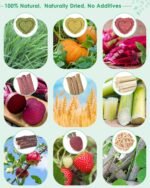 ERKOON 33 PCS Bunny Chew Toys for Teeth, from Various Natural Ingredients Such as Apple Wood, Carrots, and Timothy Grass, Suitable for Small Pets Such as Hamsters Totor Guinea Pigs etc - Image 4