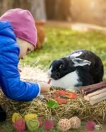 ERKOON 33 PCS Bunny Chew Toys for Teeth, from Various Natural Ingredients Such as Apple Wood, Carrots, and Timothy Grass, Suitable for Small Pets Such as Hamsters Totor Guinea Pigs etc - Image 7