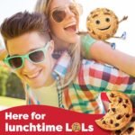 Chips Ahoy! Chewy Chocolate Chip Cookies, Family Size, 453 g - Image 5